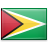 Guyana flag