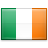 İrlanda bayrak