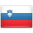 Slovenya bayrak