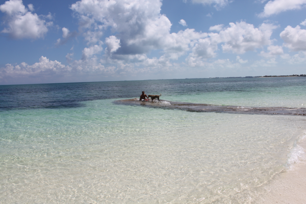 Türk ve Caicos Adaları