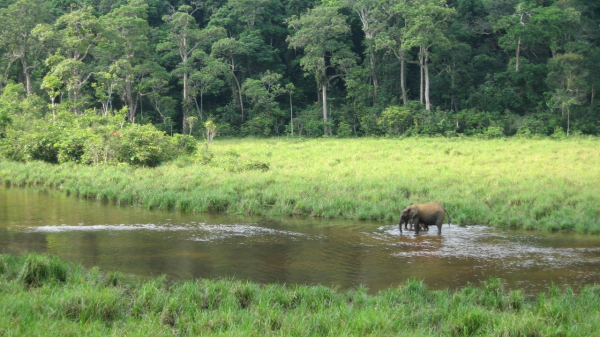 Gabon